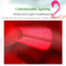 健康中心のための世界カイロプラクティック連合660nm 850nmの痛みの軽減のエドの赤灯療法のベッド