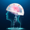 脳細胞修理頭脳の物理療法のヘルメットのための医学の頭脳ニューロン刺激物810nm Transcranial PBMのヘルメット